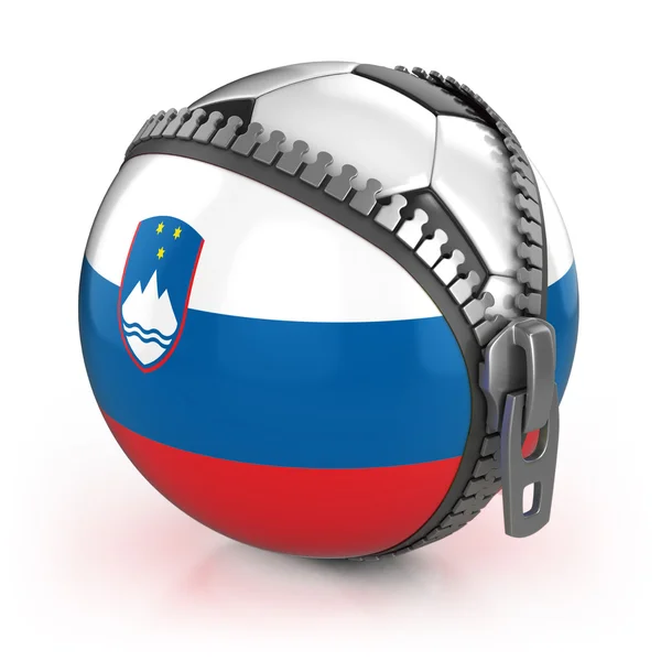 stock image Slovenia football nation