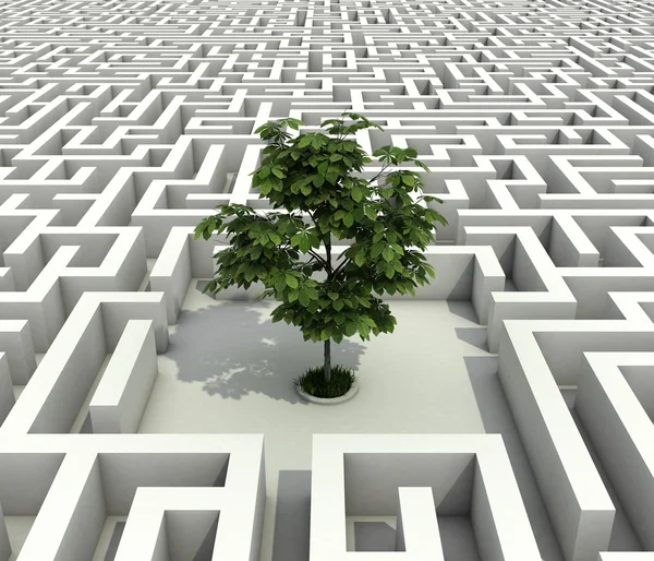 Singolo albero perso in infinito labirinto-ecologia concetto 3d — Foto Stock
