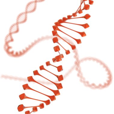 3D render of DNA on white background clipart