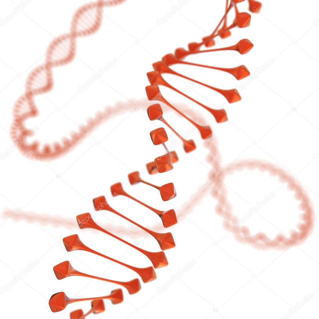 3D render of DNA on white background