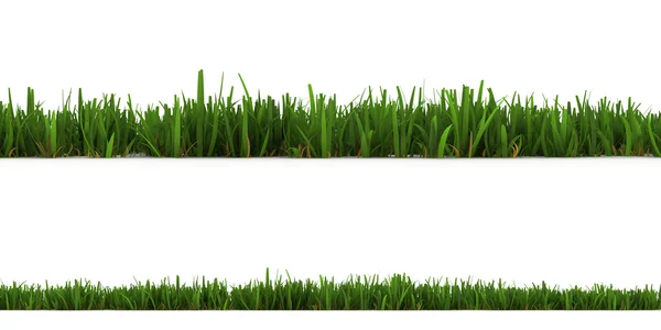 Gräs isolerat på den vita bakgrunden — Stockfoto