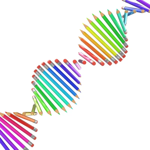 Цветные карандаши в цепочке ДНК — стоковое фото
