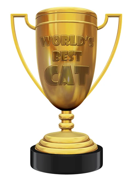Nejlepší kočka trophy — Stock fotografie
