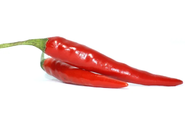 Rote Chili — Stockfoto