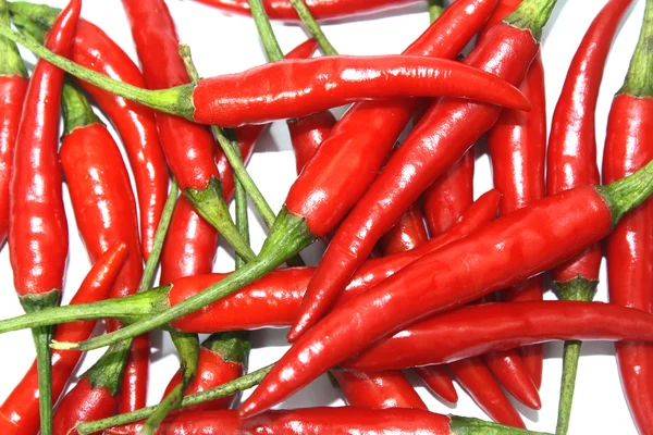 Chili rojo — Foto de Stock