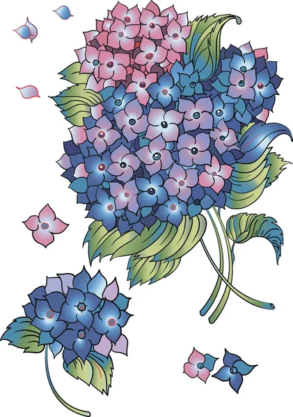 Un bouquet d'hortensias — Image vectorielle