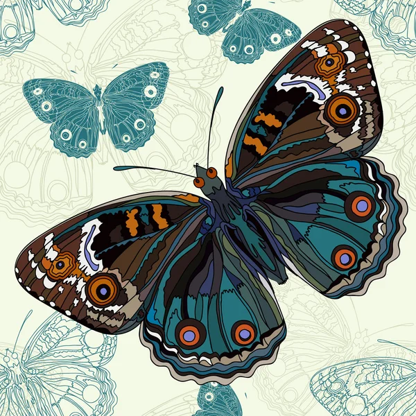 Όμορφη πεταλούδα σε ένα ομοιογενές φόντο στο άνυσμα — Διανυσματικό Αρχείο