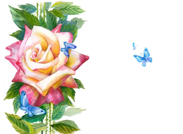Rosebud înflorit — Fotografie, imagine de stoc
