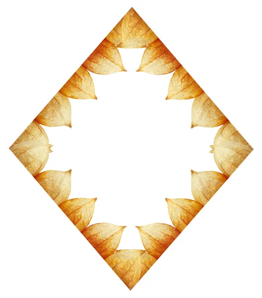 Rhombus frame of Physalis — Stock Photo, Image