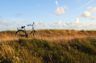 Bicycle on a coastal boardwalk clipart