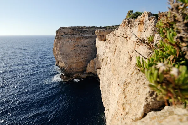 Побережье Мальты — стоковое фото