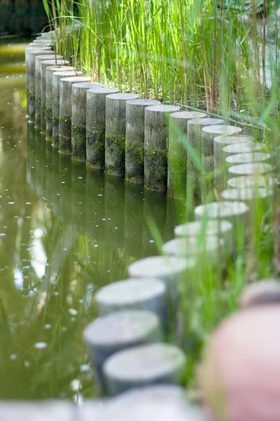 Stock image Garden of cure in Elche