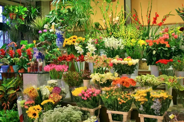 Florista 'Shop Fotos De Bancos De Imagens