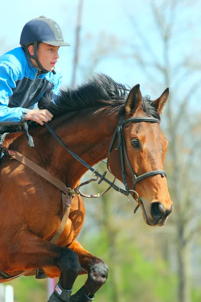 Jezdec skáče s hnědý kůň nad překážkou — Stock fotografie