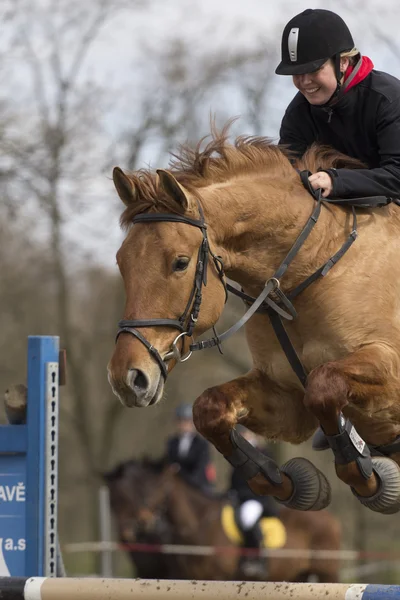 De renner springt met bruin paard over — Stockfoto