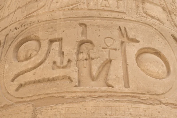 Detailní pohled na kartuši (karnak, egypt) — Stock fotografie