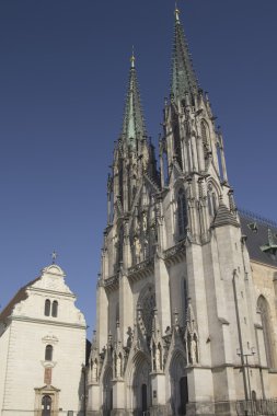 Saint Wenceslas katedralde Olomouc (Çek Cumhuriyeti)