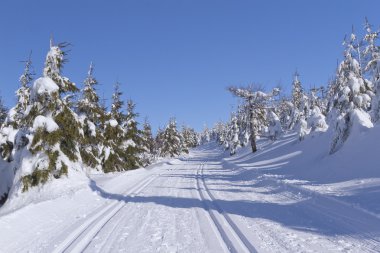 Kış dağ manzarası ile cross country kayak yolu.