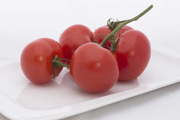 Tomates arbustivos en plato blanco . — Foto de Stock