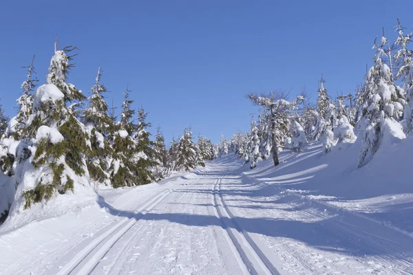 stock image Winter mountain landscape with cross country skiing way.