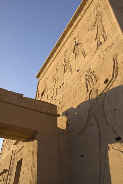 Parede esculpida do Templo Philae Egito ) — Fotografia de Stock