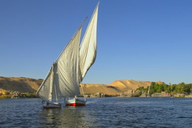 Nil tipik yelken