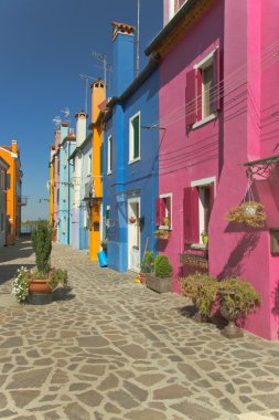 Nice color houses in row (Italy) clipart