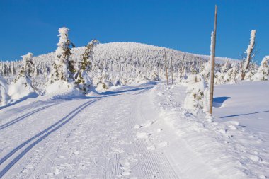 Winter mountain landscape scenery with cross country skiing way clipart