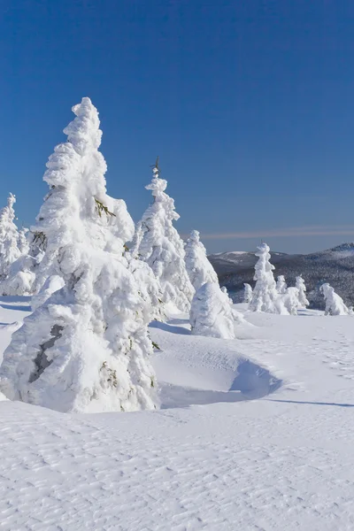 Vista de inverno da montanha coberta de neve e árvores — Fotografia de Stock