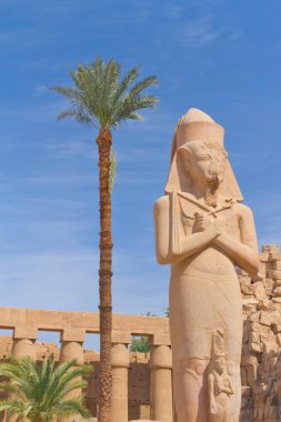 Rameses II Statue at Karnak Temple ( Luxor, Egypt). clipart