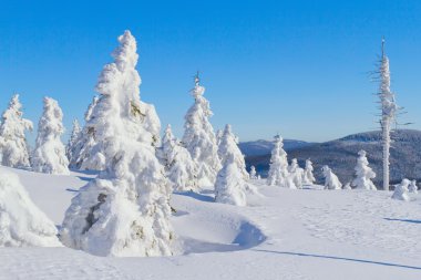 Winter view of snow covered mountain and trees clipart