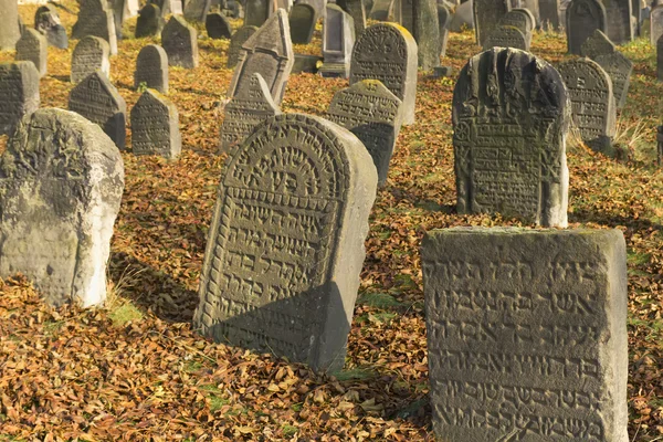 Jewish cemetery in Libochovice (Czech Republic), founded in 1583 — Stock Photo, Image