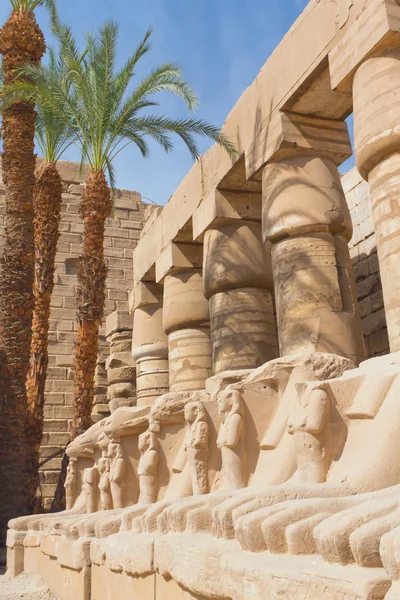 Estatuas en el templo de Karnak (Egipto  ) — Foto de Stock