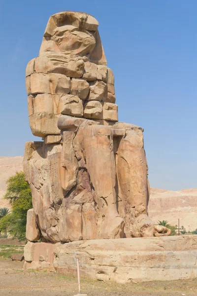 Estátua direita dos dois colossi de Memnon (Luxor, Egito  ) — Fotografia de Stock