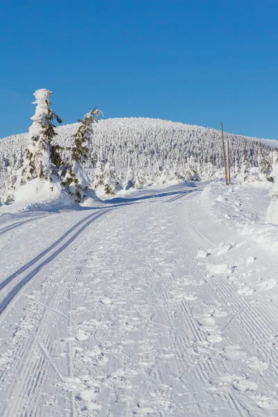 Зимний горный пейзаж с лыжной трассой — стоковое фото