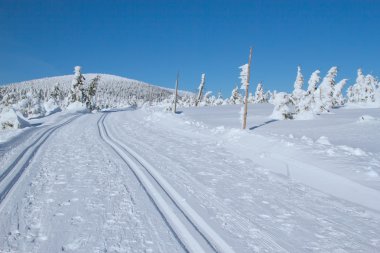 Winter mountain landscape scenery (Mountains Jeseniky, Czech Rep clipart