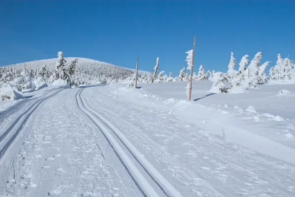 冬の山風景 （山 jeseniky、チェコの担当者 — ストック写真