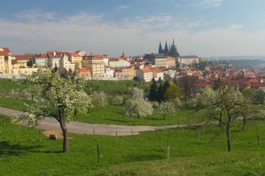 Prag Kalesi bahar