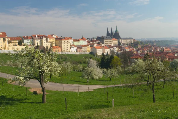 Castelo de Praga na primavera — Fotografia de Stock