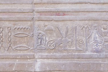 Hieroglyph in The Temple of Kom Ombo ( Egypt) clipart
