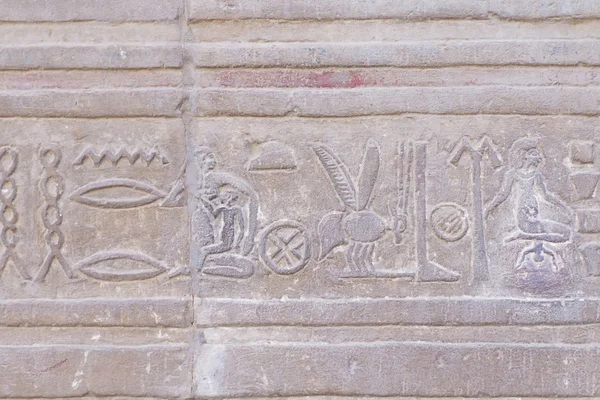 Hieroglyf i templet Kom Ombo (Egypten) — Stockfoto