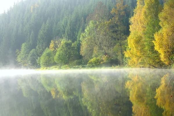 Lago di foresta nella mattina di autunno — Foto Stock