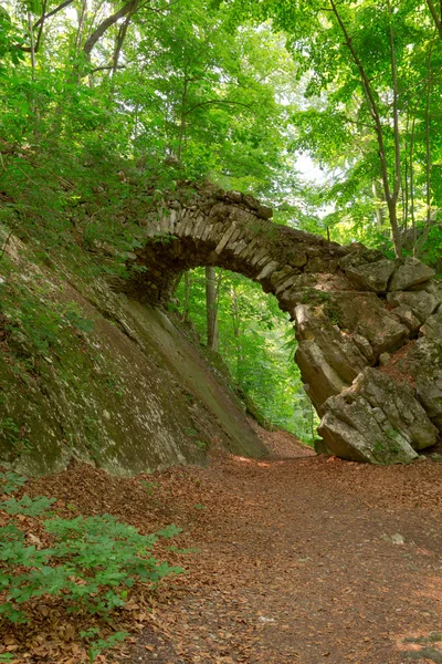 Oude stenen brug in het bos — Stockfoto