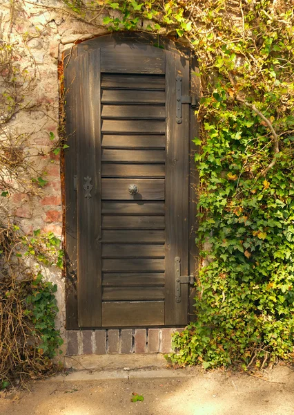 Traditional doors in the spring garden — Stock Photo, Image