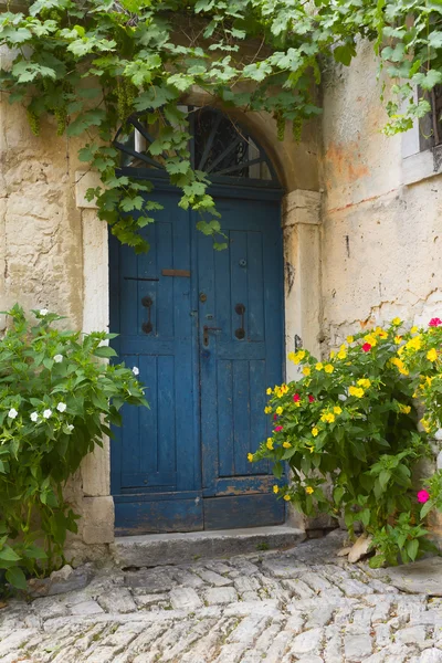 Alte blaue Tür und Blumen in Töpfen — Stockfoto