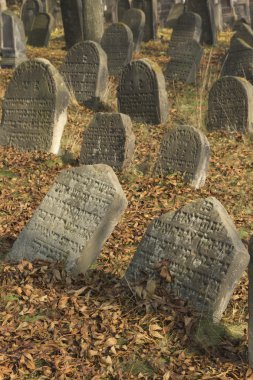 Jewish cemetery in Libochovice (Czech Republic), founded in 1583 clipart