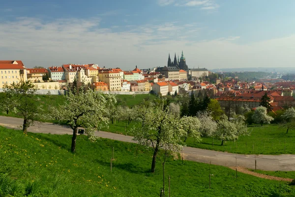 Прага в цілому вид на Празький град — стокове фото