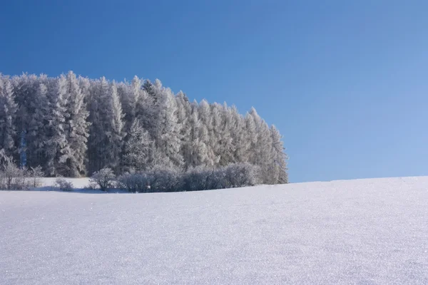 Líneas de combinación de bosque, campo cubierto de nieve y cielo azul — Foto de Stock