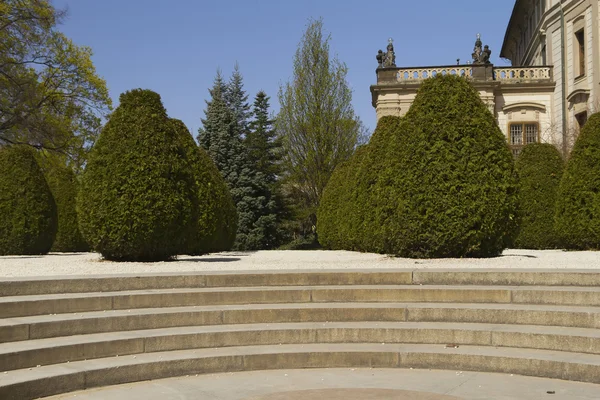 Stock image Conifers in Prague Castle Garden