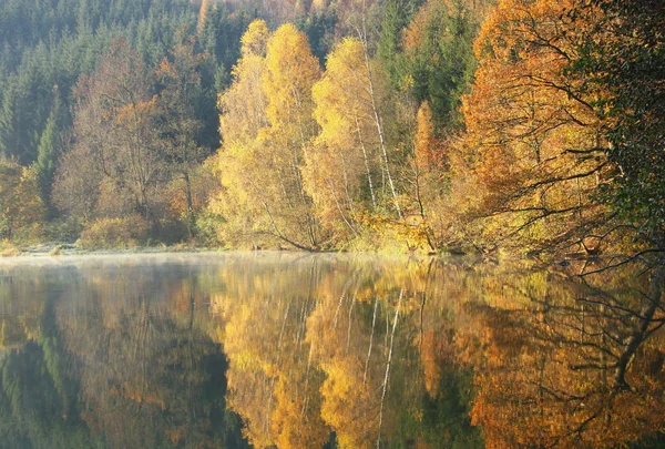 Hermoso lago del bosque en la mañana de otoño —  Fotos de Stock